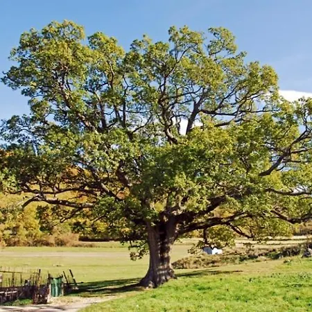 Il Vigneto Dom wakacyjny *