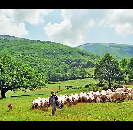 Dom wakacyjny Il Vigneto *