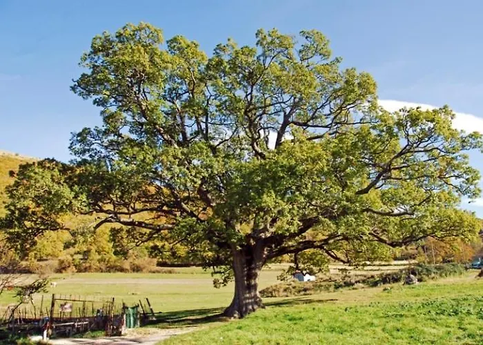 Il Vigneto Дом отдыха *