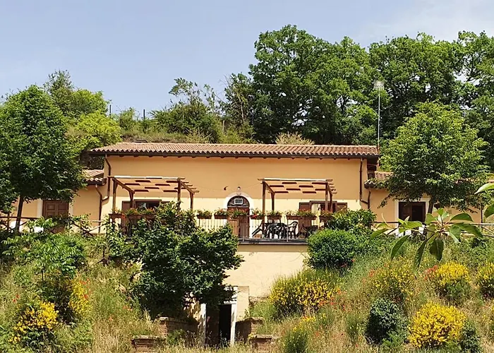 Il Vigneto Норча