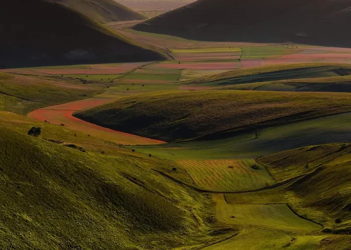 Il Vigneto Дом отдыха